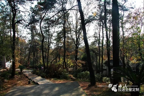 鄂州登山節